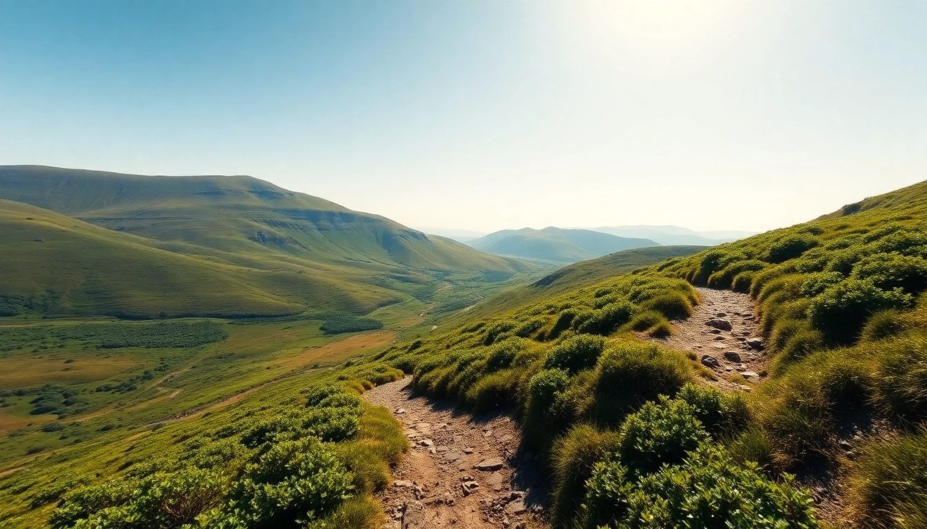 Wanderurlaub Irland auf einem malerischen Wanderweg in den grünen Hügeln Irlands genießen.