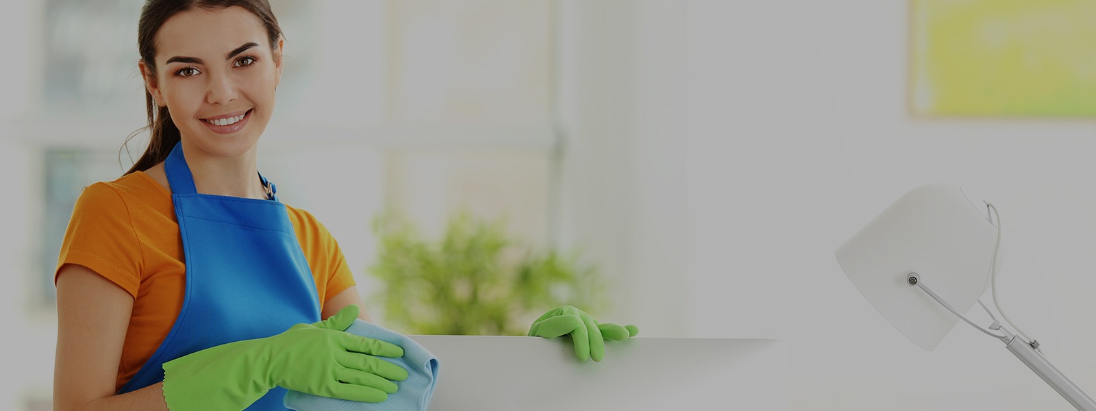 Zuverlässiger Fensterputzer Rheine: Streifenfreie Ergebnisse für höchste Kundenzufriedenheit