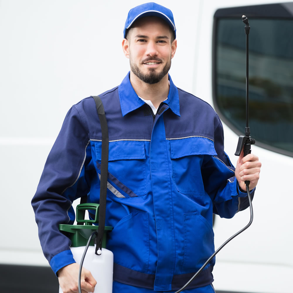 Kammerjäger-Services: Welche Leistungen werden angeboten?